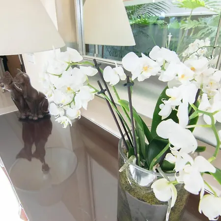 Bellviure Luxury Mallorca Holiday home La Cabaneta